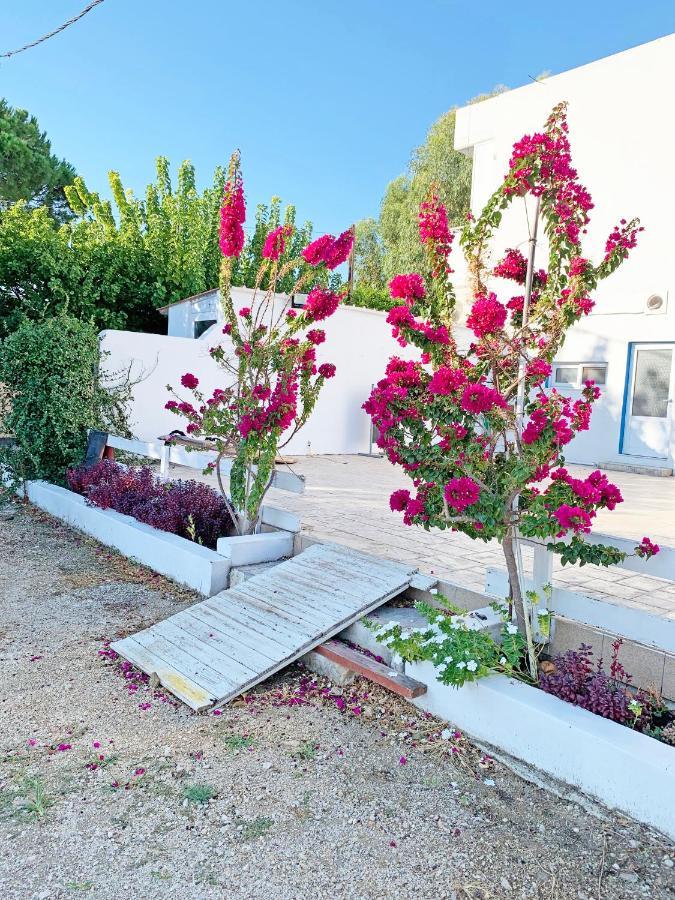 Apollonio Suites & Rooms Faliraki Rhodes ภายนอก รูปภาพ